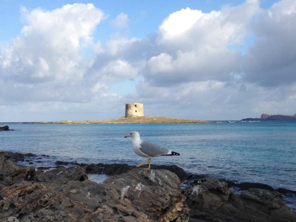 Maria Antonietta House Villa Porto Torres Exterior foto